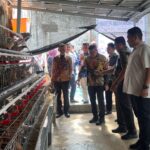 Lapas Banyuasin Gandeng PT TEL Optimalkan Program Pembinaan Lewat Budidaya Ayam Petelur IMG-20260123-WA0062