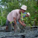 Kisah Masyarakat Pasir Sakti: Dulu Terkikis Abrasi, Kini Tumbuh Mangrove yang Menghidupi IMG-20260626-WA0106