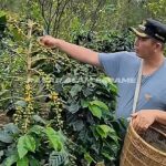 Kopi Pagar Alam Go International, Tembus Barcelona dan 20 Besar KKSI IMG-20261012-WA0060
